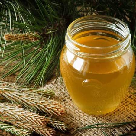 Мёд в Турции: турецкий сосновый мёд
