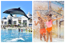 Activités Aquatiques