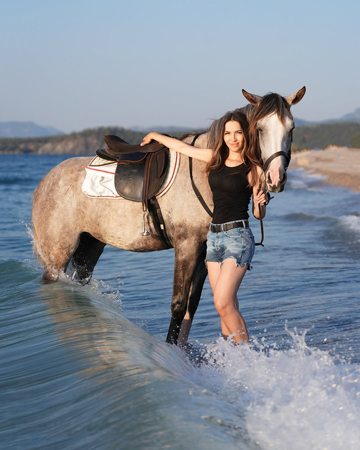 Bogazkent Stadnina Koni