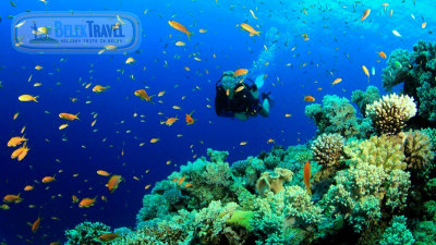 Дайвинг в Белеке