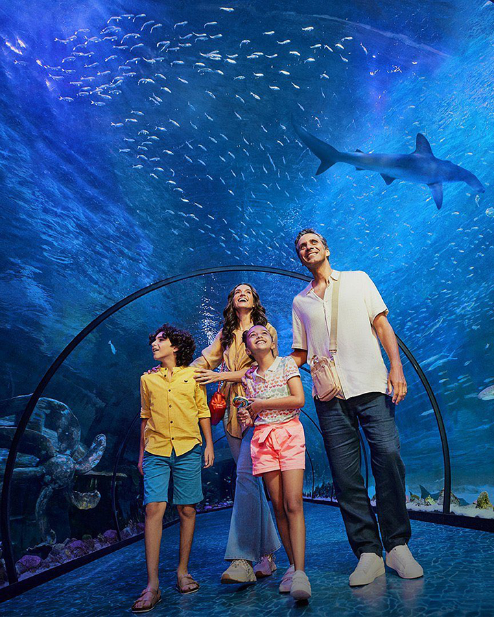 Antalya Aquarium From Belek