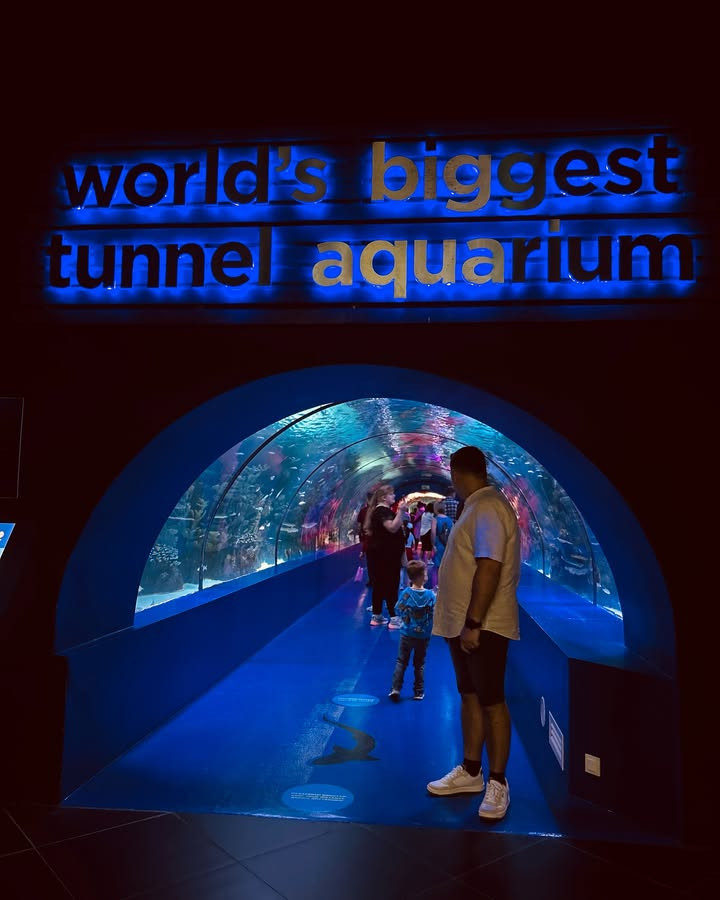 Akwarium tunelowe z Serik