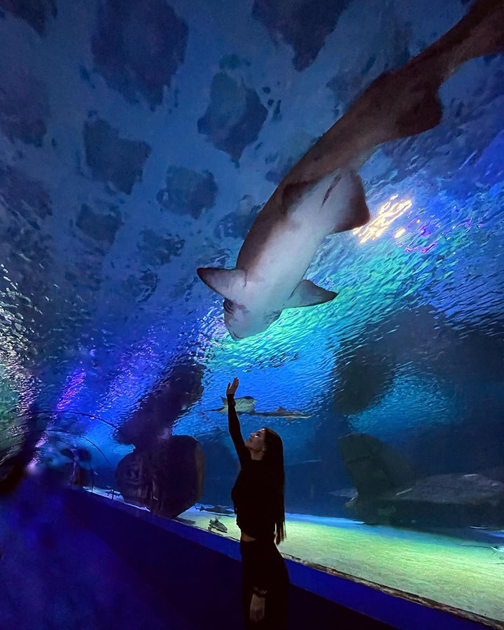 Aquarium with sharks from Kadriye