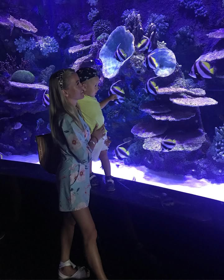 Köpekbalığı olan Akvaryum