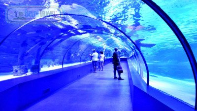 Анталия Океанариум из Белека