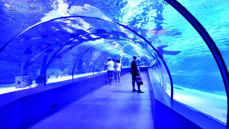 Aquarium Belek