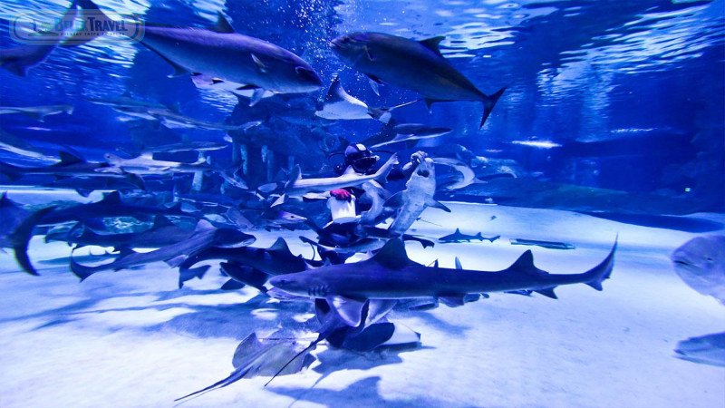 Aquarium Belek