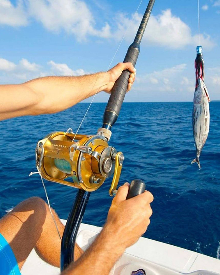 Mediterranean Sea Fishing in Kadriye