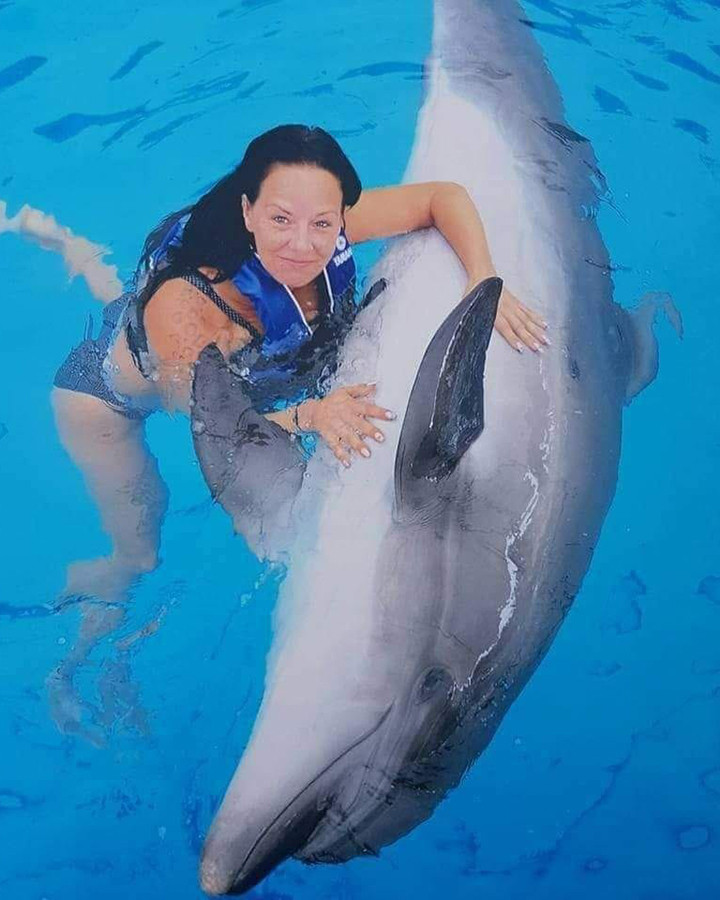 Pływanie z Delfinami Wycieczka w Bogazkent