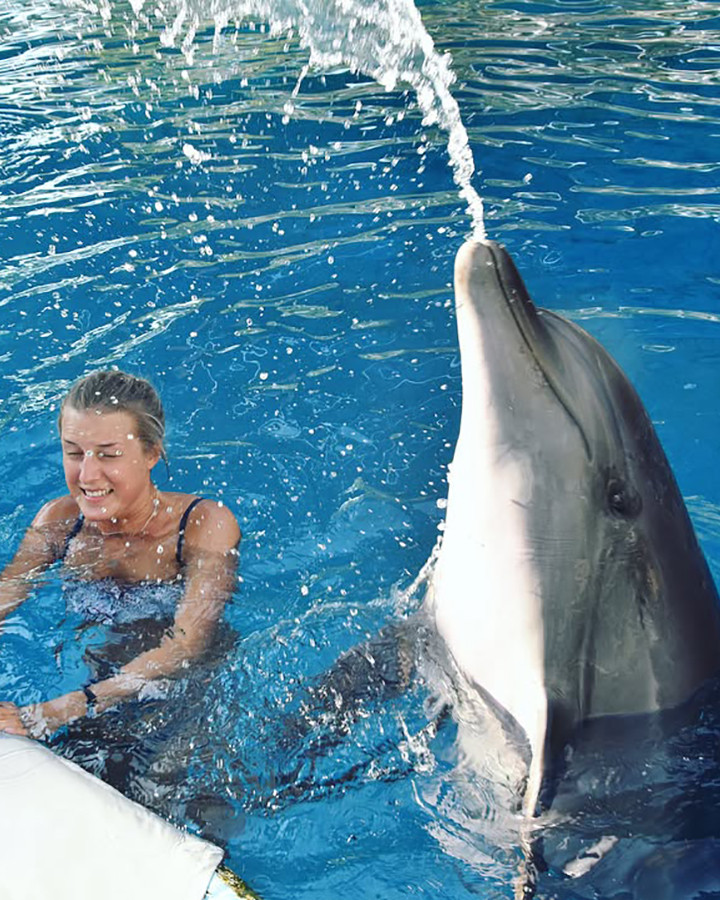 Schwimmen Sie mit Delfinen im Pool