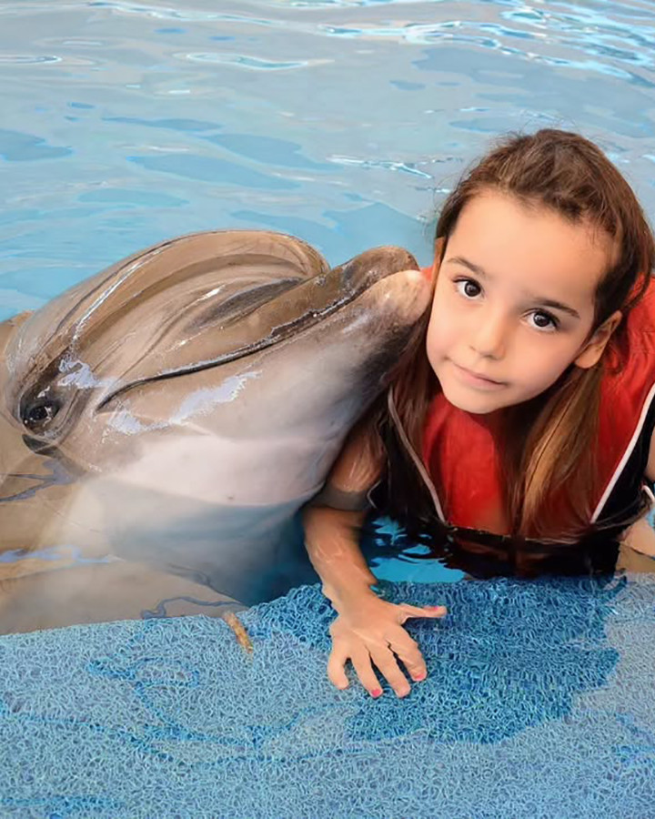 Yunuslarla Yüzme Turları