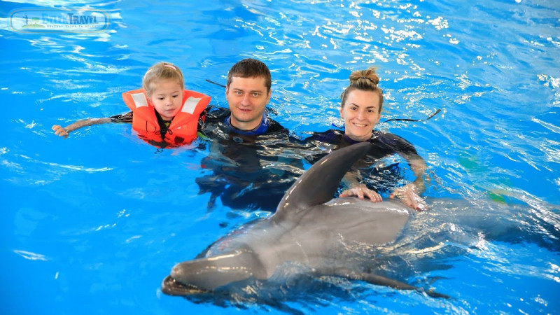 Swim with dolphins Belek Turkey