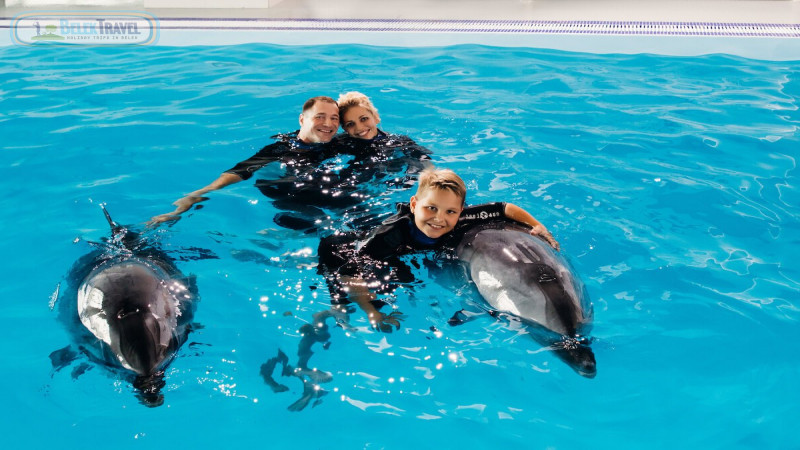 Swim with dolphins Belek Turkey