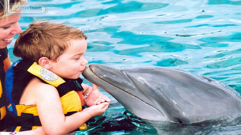 Swim with dolphins Belek Turkey