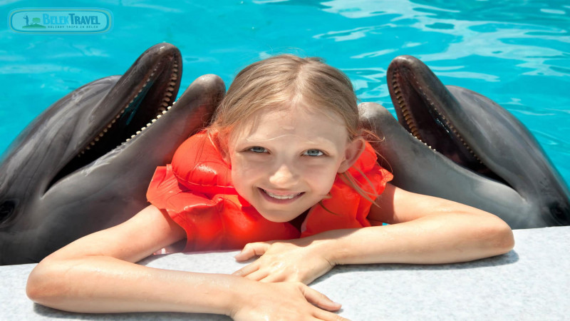 Swim with dolphins Belek Turkey