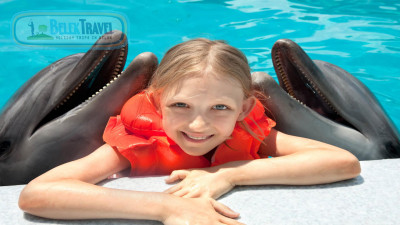 Плавание с дельфинами в Белеке