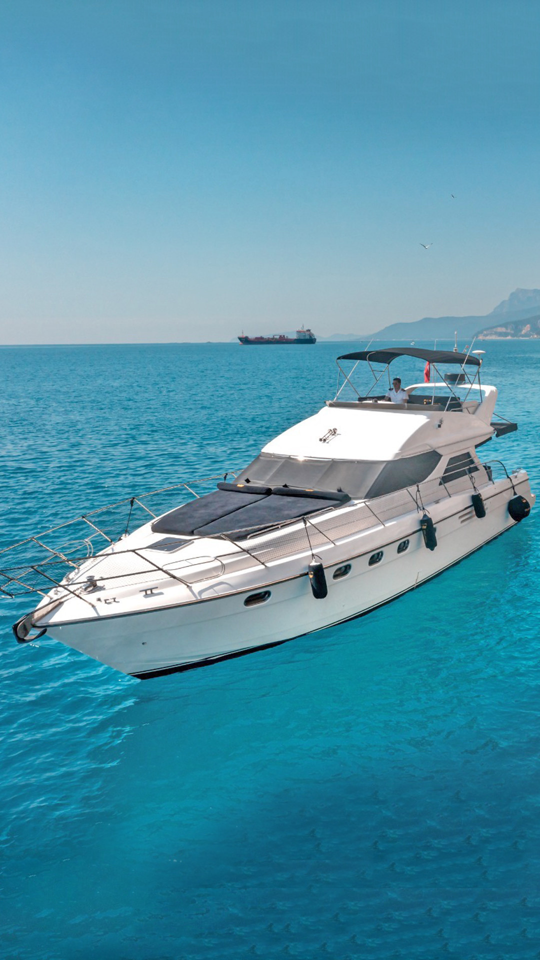 Name: Mistral Bellezza